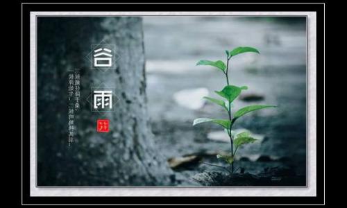 独资公司增资流程(公司办理增资流程)