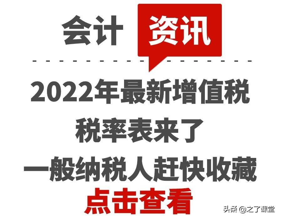 一般纳税人有哪些税率:,近期解释