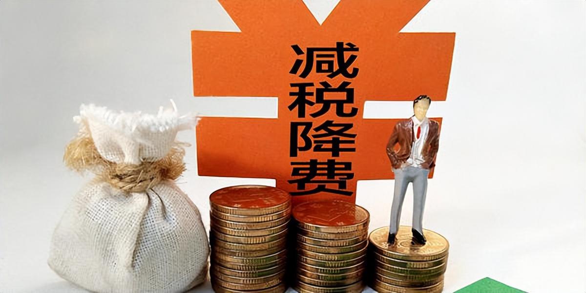 一般纳税人返税一年返多少:,实时理解