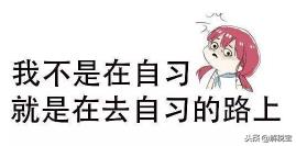 减免所得税优惠明细表:,实时研读