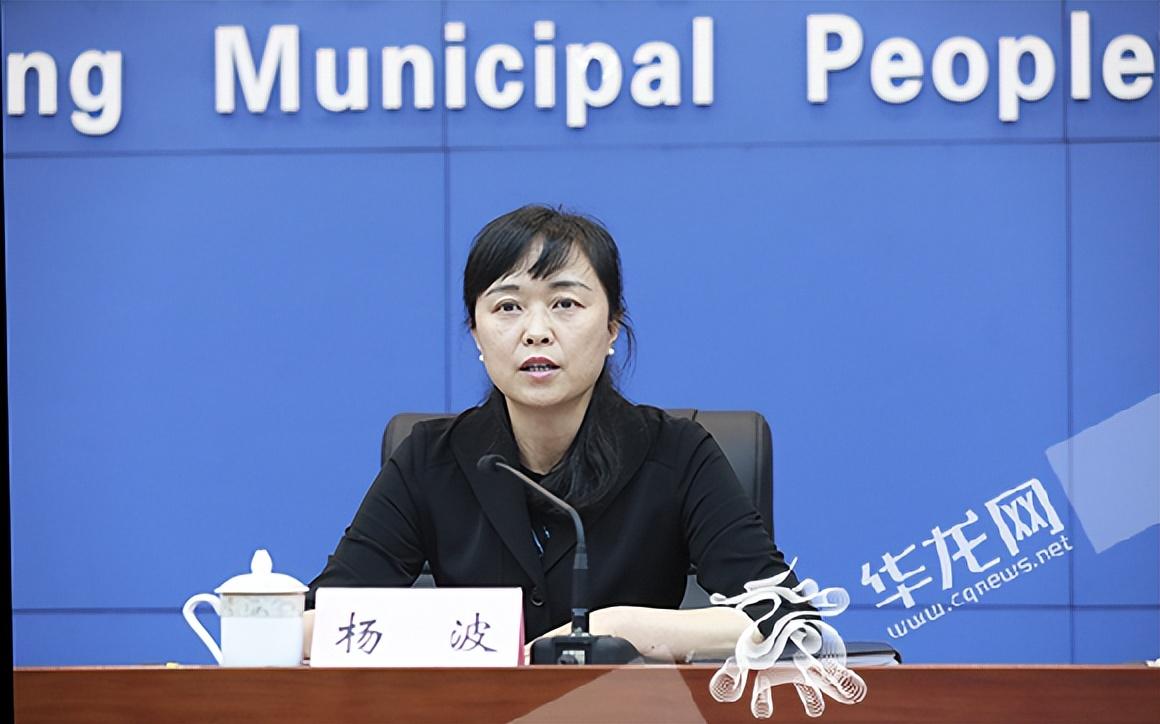 重庆2022年税收政策,4分钟前更新