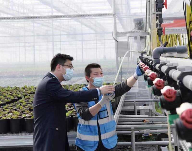 上海市崇明税收优惠,近期表述