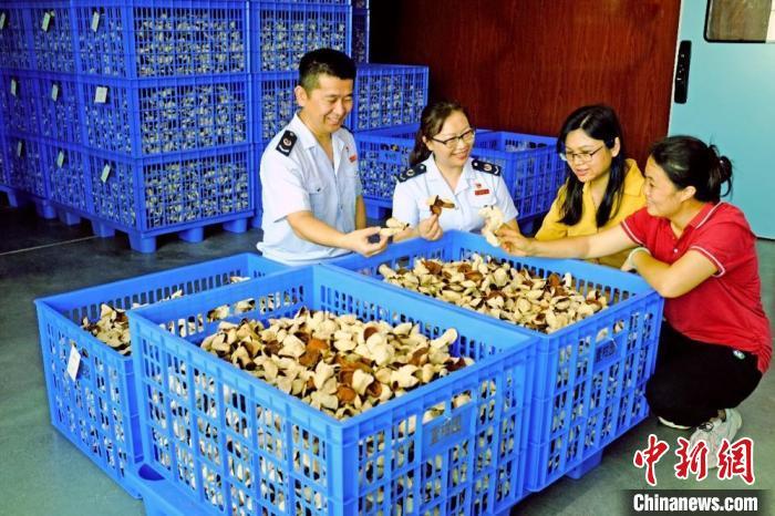 广东省增值税优惠政策,8分钟前更新