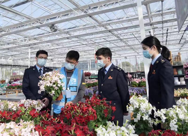 上海市崇明税收优惠,近期表述