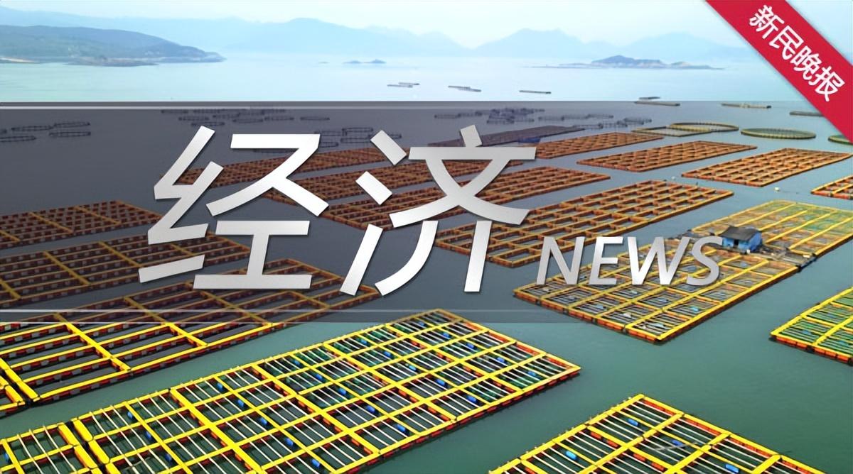 2022上海税收优惠政策,今日解答