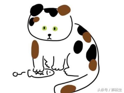 简易征收和一般计税,4分钟前更新
