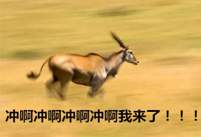 哪里查小规模和一般纳税人,实时消息