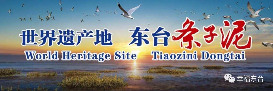 江苏盐城税收洼地,今日认识
