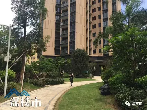 深圳有税收洼地吗,实时要点