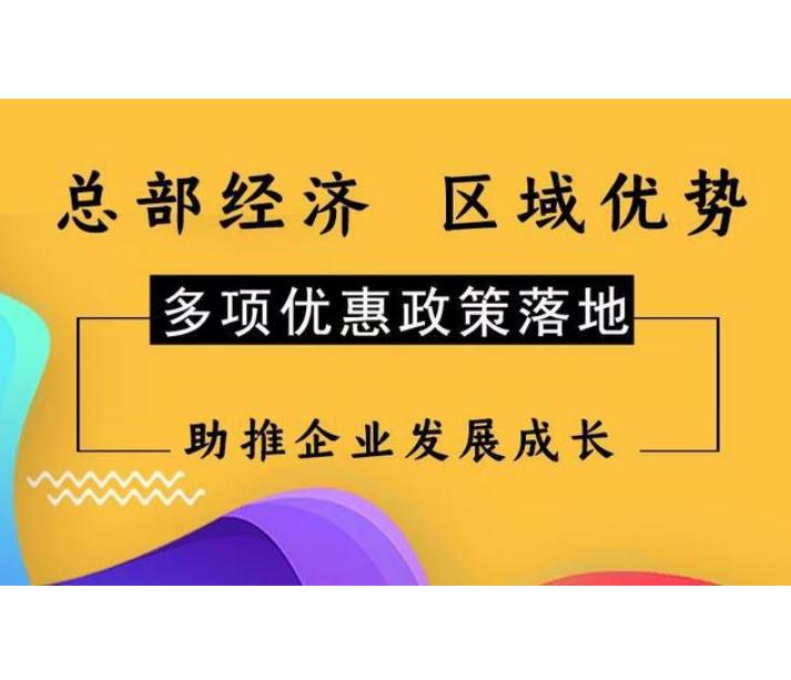 一般纳税人享受什么优惠政策,实时阐述