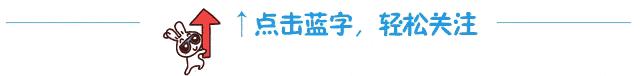 公司一般要缴纳哪些税种,今日消息