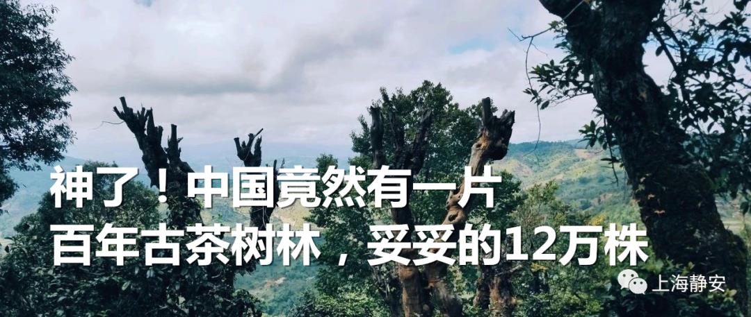 静安区税收财政返还,今日推荐