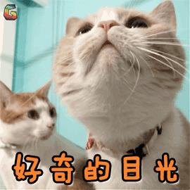 沈阳个体户核定征收,实时解释