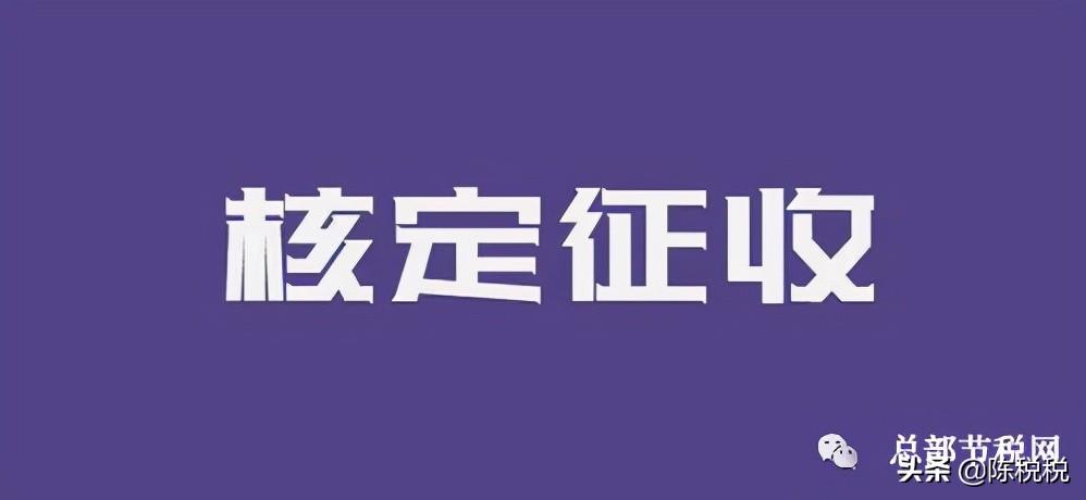 核定征收收入总额,实时信息