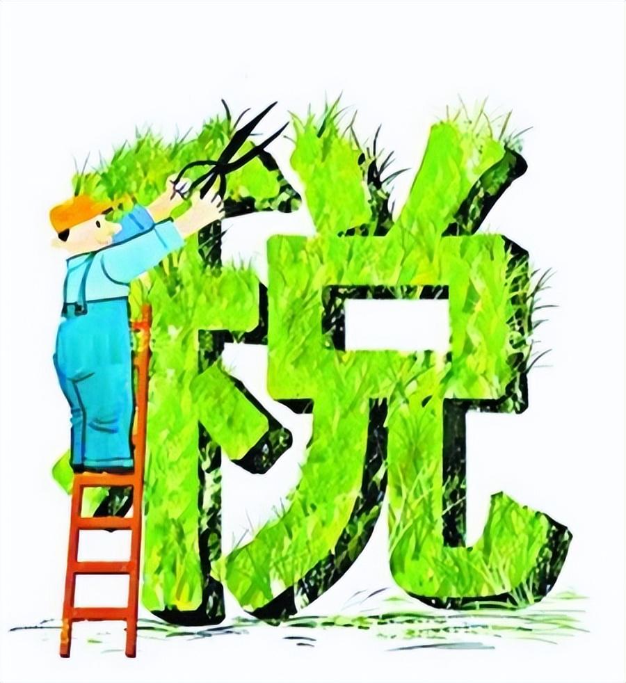 个体户核定征收最高年开票额,本月消息