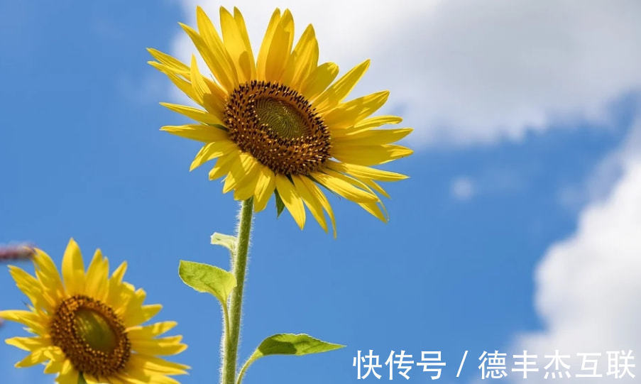 合伙企业所得税优惠政策,本月阐释