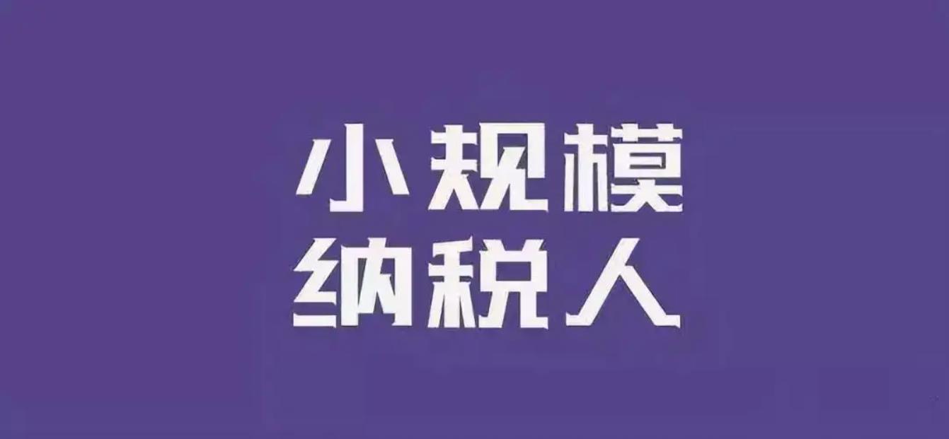 小规模企业怎么申请核定征收,实时资讯