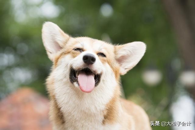 个体户查账征收开票限额,本月研读
