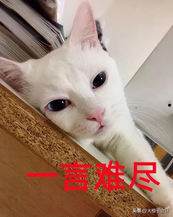 天津返税政策停了,本月阐释