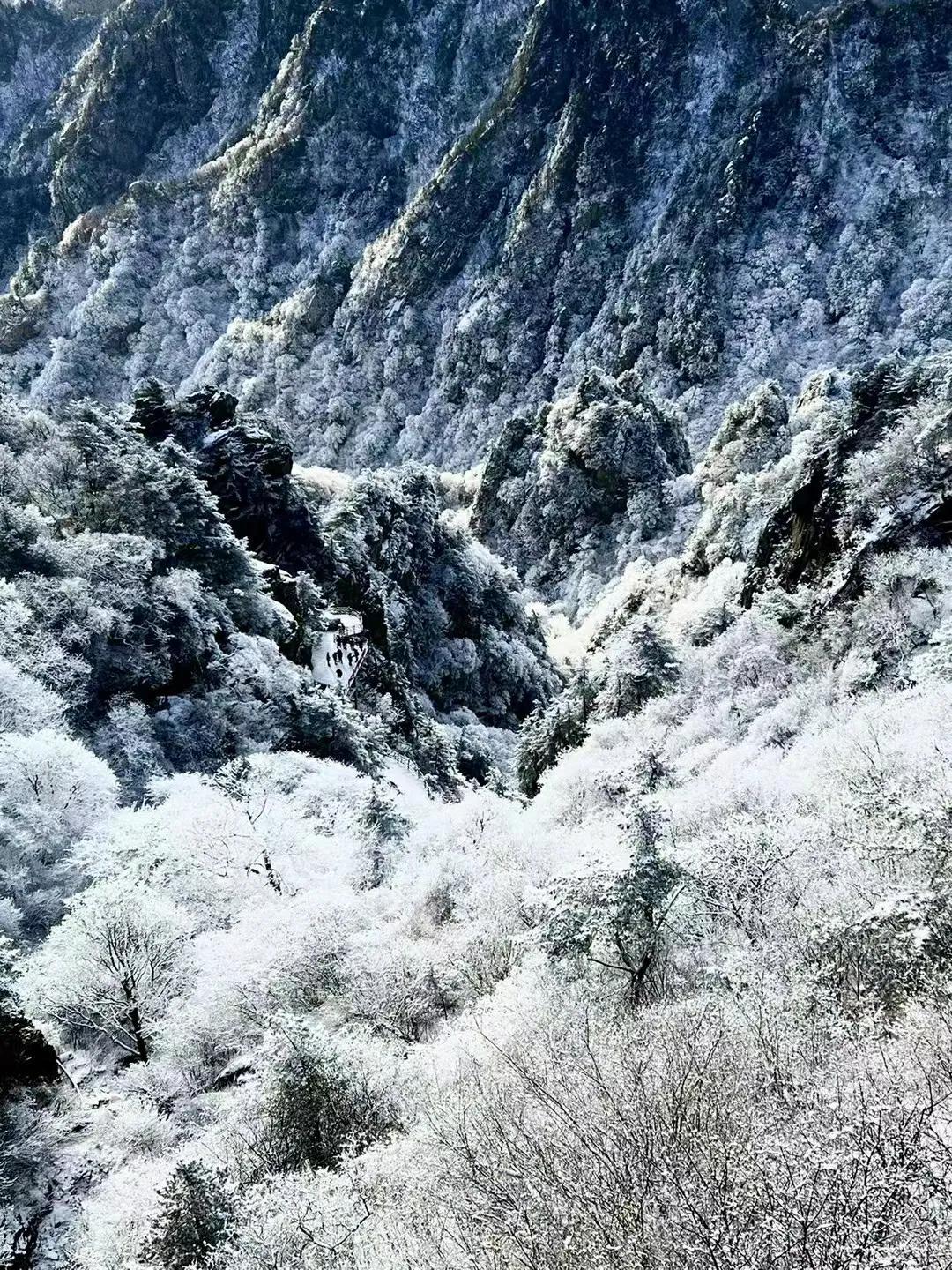 政府返还个税还交个税吗,今日研读