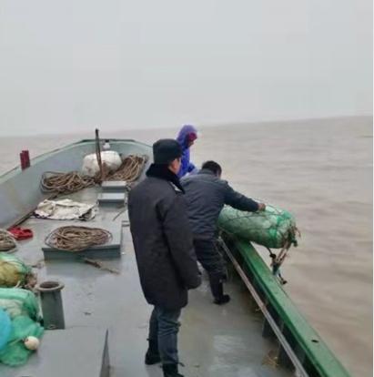 奉贤核定征收暂停了吗,当日热点