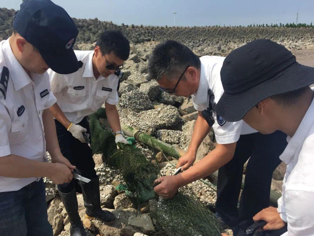 奉贤核定征收暂停了吗,当日热点
