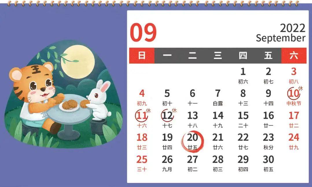 核定征收取消了么怎么办,本月解读