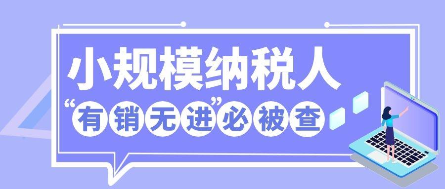 小规模企业被税务局查账,当日表述