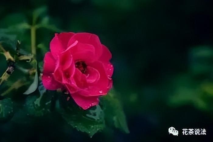 个人所得税返钱怎么申请退款,本月认识