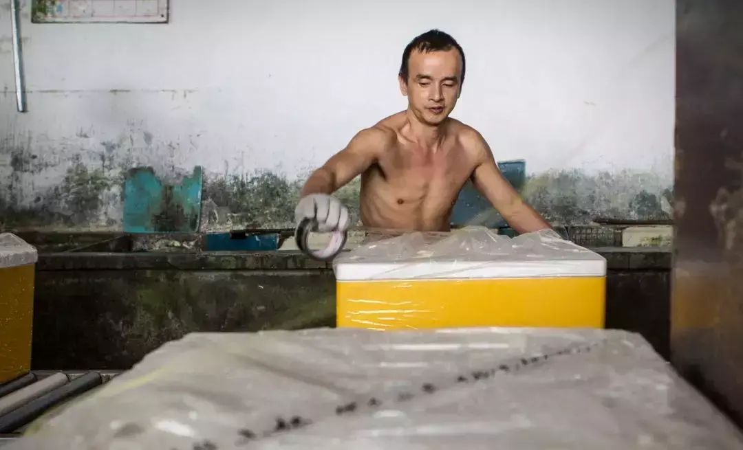 个人所得税返钱怎么操作,当日推荐
