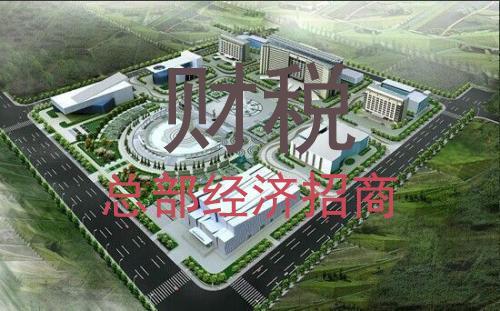 什么叫个人核定征收,实时解答