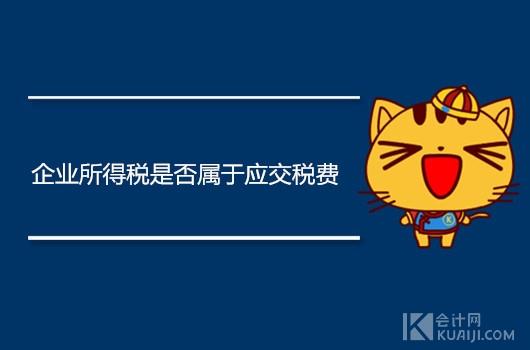 应交所得税和所得税费用,今日推荐
