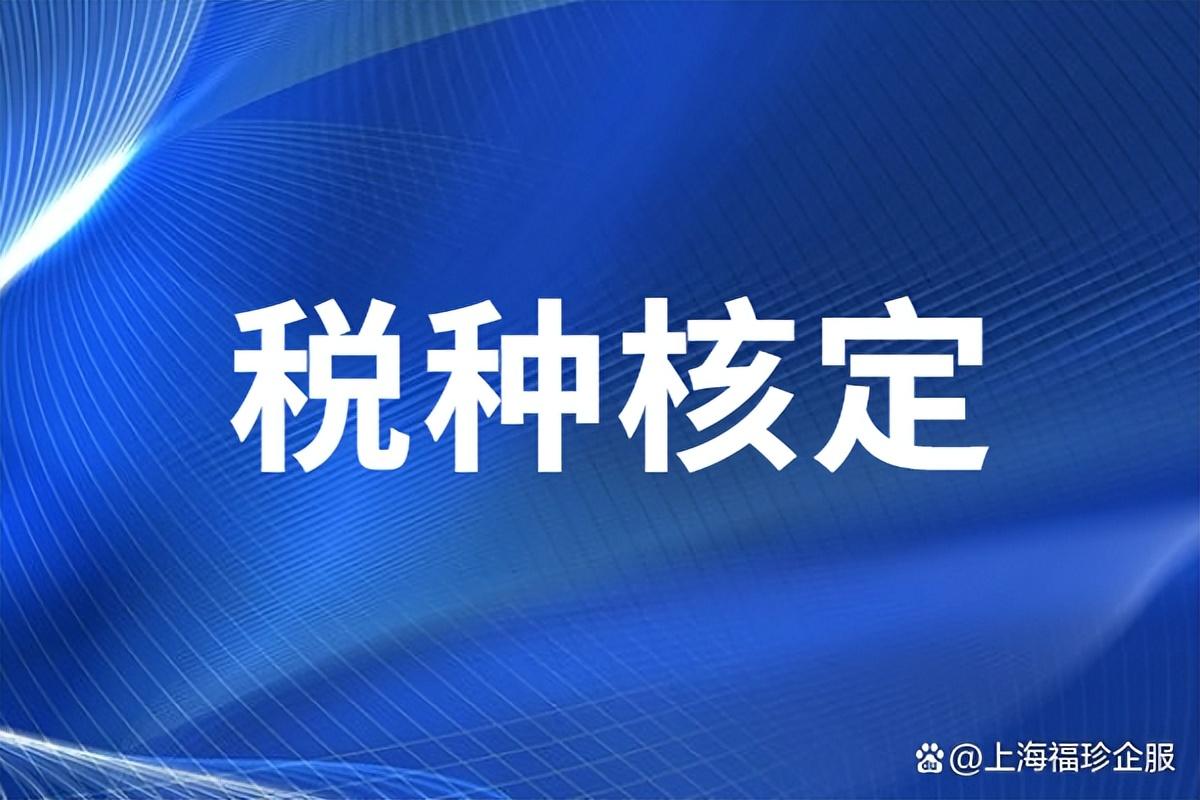 公司怎么核定税种,当日消息