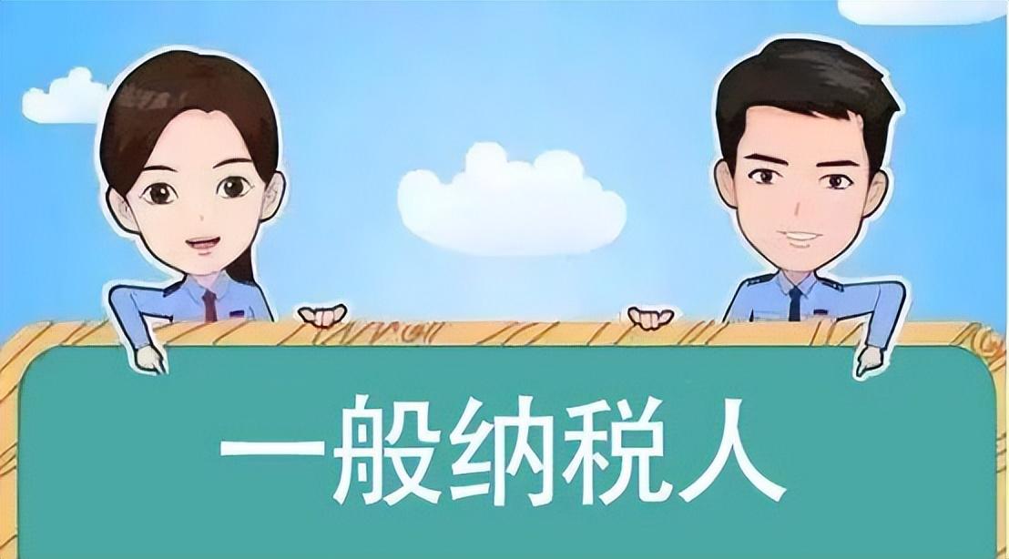 贸易公司的税收政策是多少,本月分析