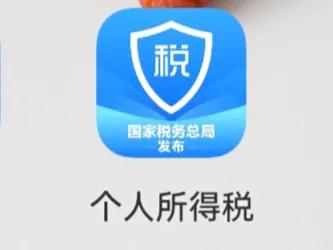 公司交的所得税有返还,本月研读