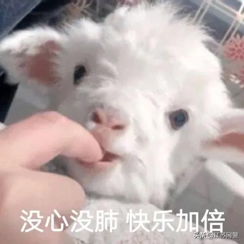 给客户返点交税吗,今日分析