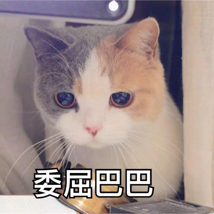 为什么办理etc还给返钱呀,当日阐述