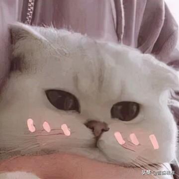 企业购买金融资产避税规定,近期阐述