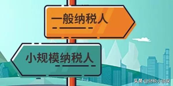 税收税务筹划方案,实时阐释