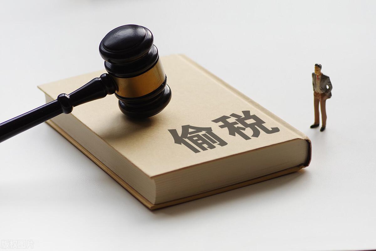 逃税与逃避追缴欠款税,当日理解