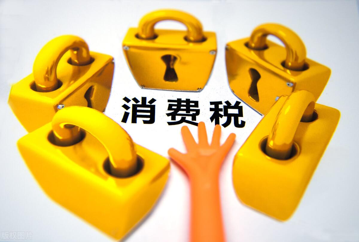 纳税筹划的主要形式有哪些,近期理解