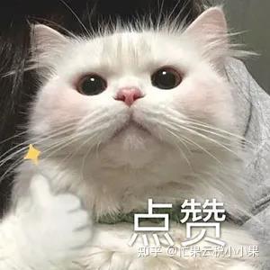 个人收取大额居间费如何避税,当日认识