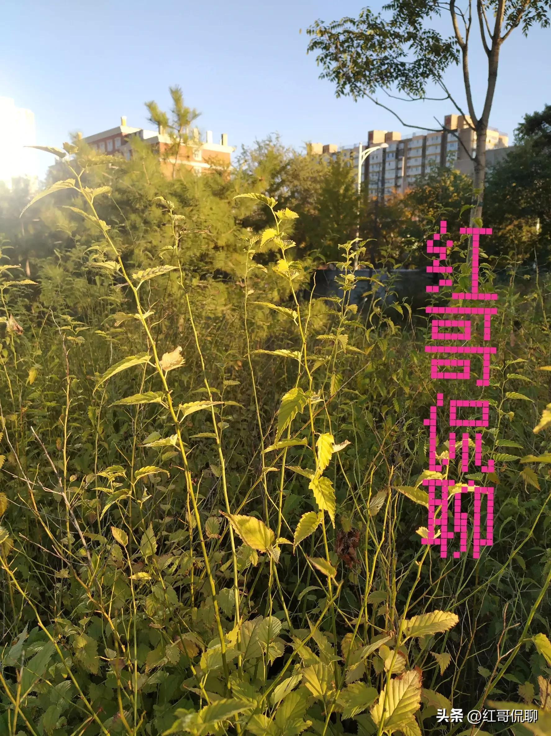 怎样避免企业所得税负债增加,本月解答