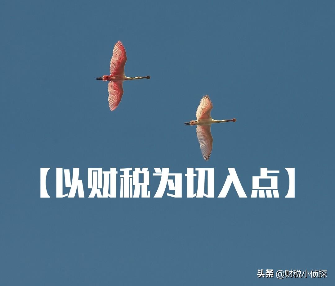 税收税务筹划方案,实时阐释