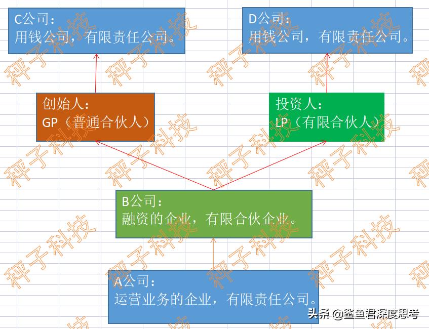 合理避税的公司架构是,近期资讯