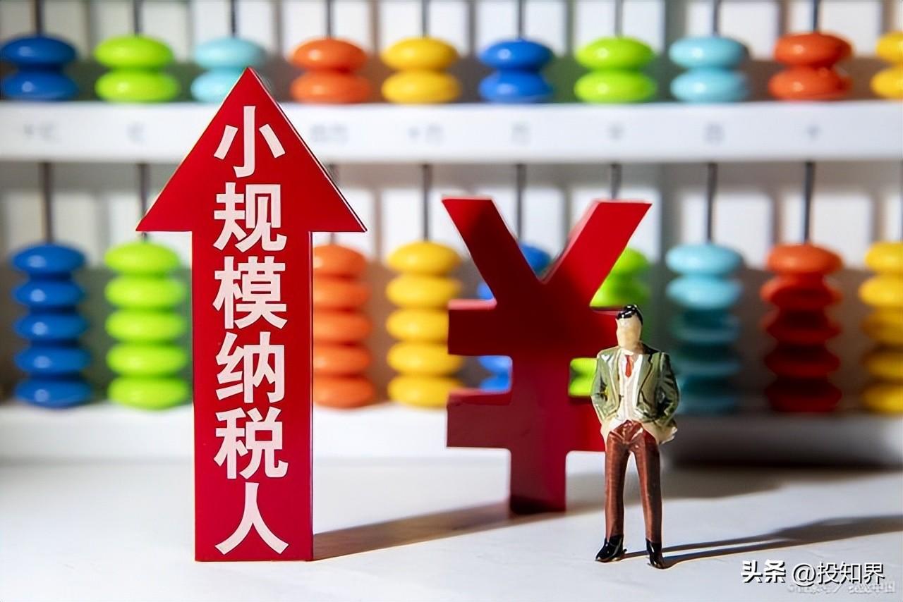 小规模纳税人如何规避增值税,当日认识