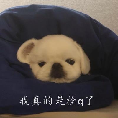 老板用公司钱怎么避税给员工,实时消息