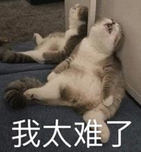 办多个个体户避税怎么办,近期理解