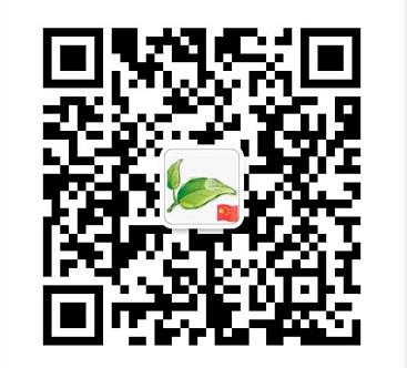 建筑工程公司税收筹划,实时推荐