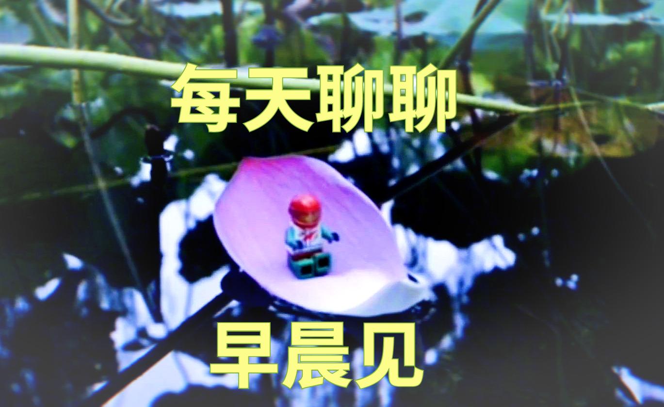 企业注销前怎么合理避税,4分钟前更新